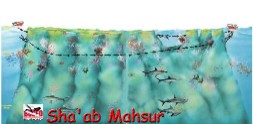 Shab´ab Maksur-2