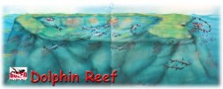 Dolphin Reef-2