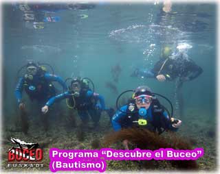 Descubriendo el Buceo